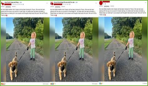 The Bella Heather Missing Scam Exposed!